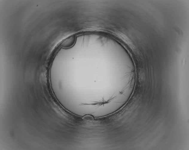 X0000115231356200911131635