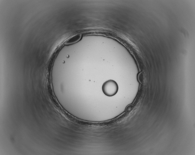 X0000115231357200911131635