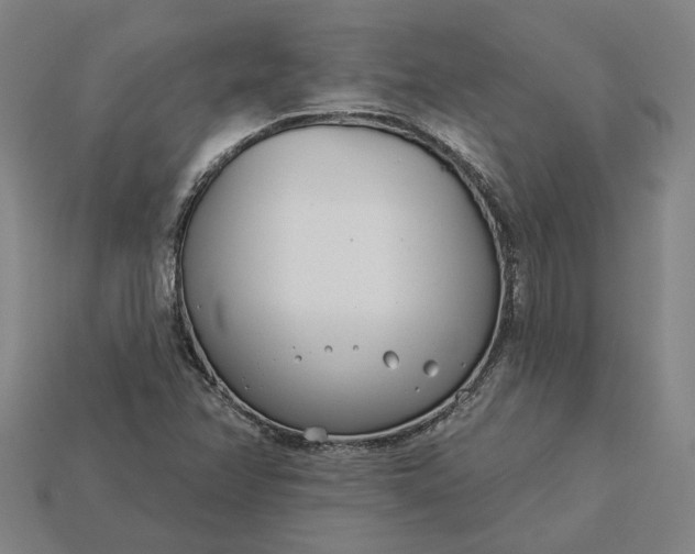 X0000115231358200911131635