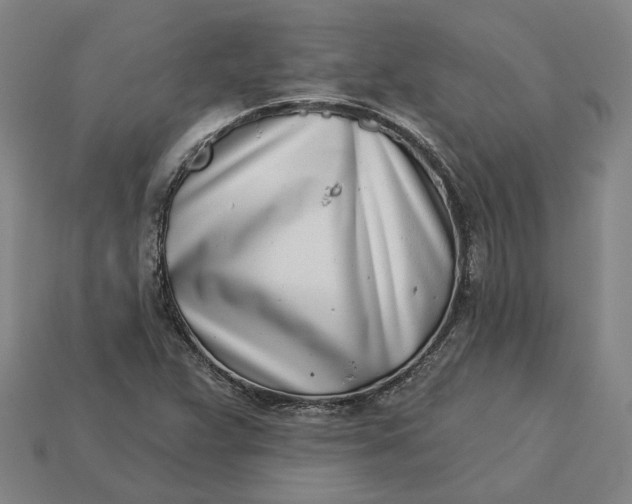 X0000115231359200911131635