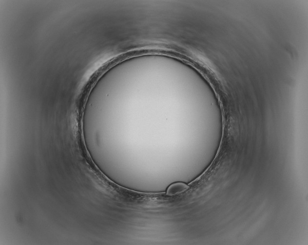 X0000115231360200911131635