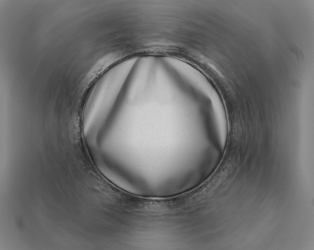 X0000115231362200911131635