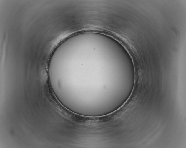 X0000115231363200911131635