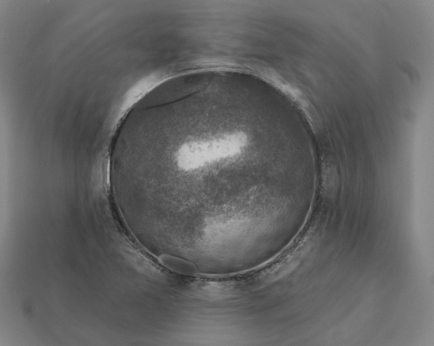 X0000115231365200911131635