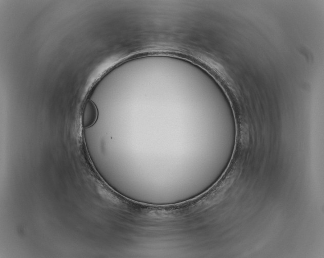 X0000115231366200911131635