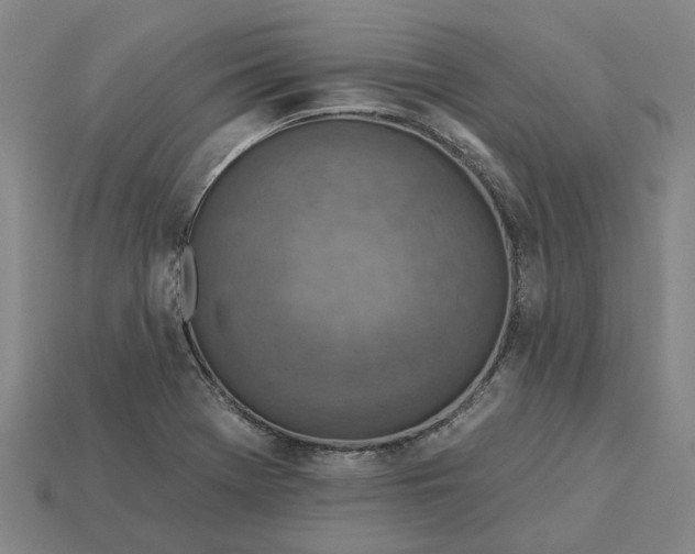 X0000115231369200911131635