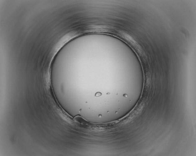 X0000115231370200911131635