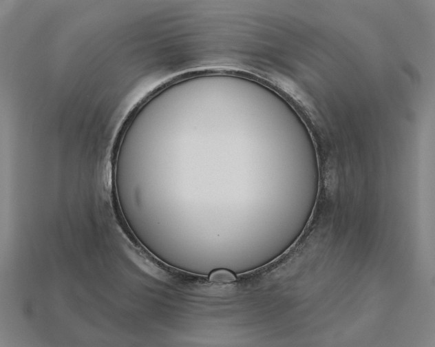 X0000115231372200911131635