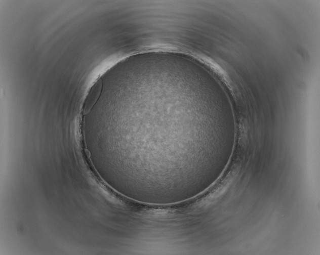 X0000115231373200911131635