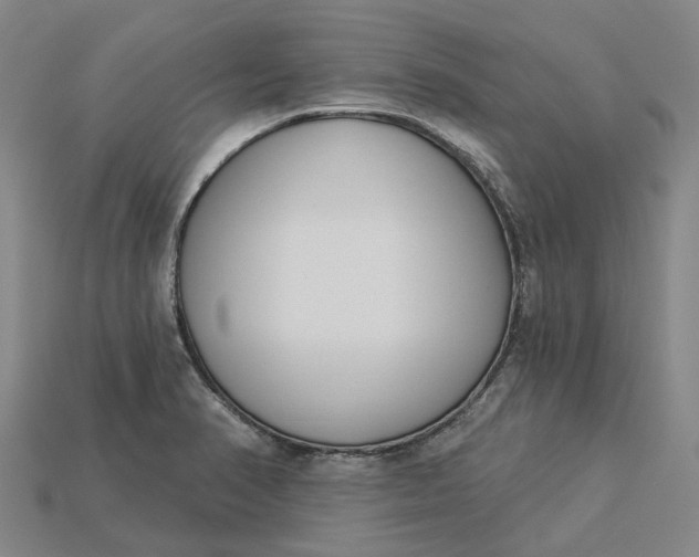 X0000115231374200911131635