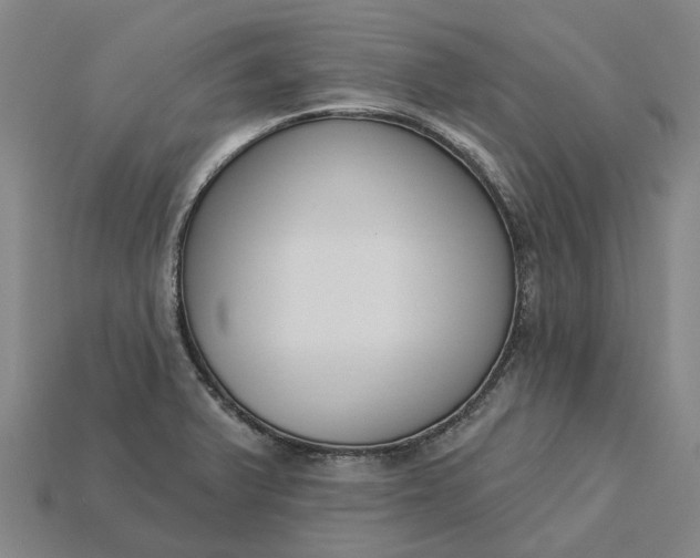 X0000115231375200911131635
