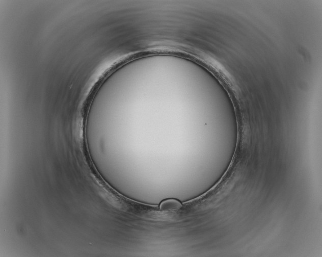 X0000115231376200911131635