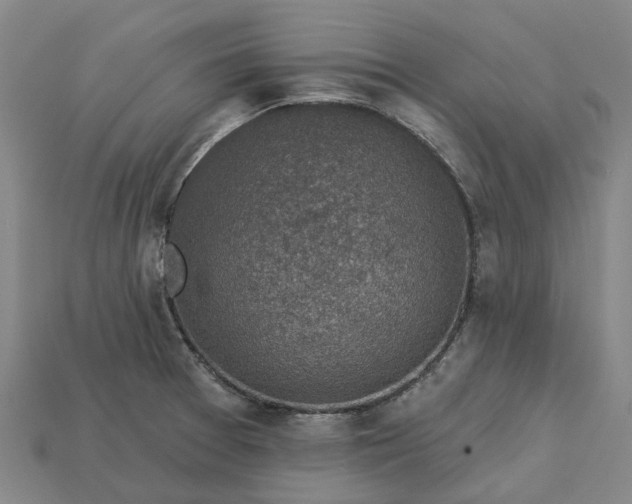 X0000115231377200911131635