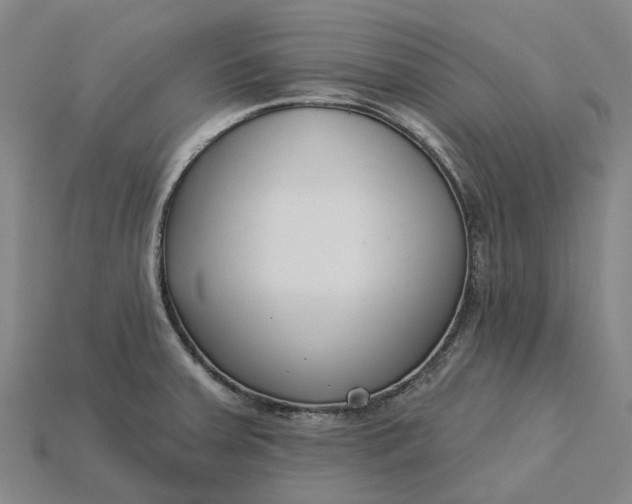 X0000115231379200911131635