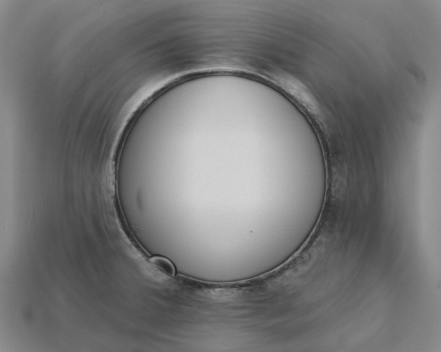 X0000115231380200911131635