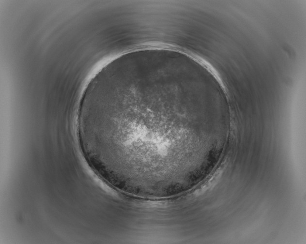 X0000115231381200911131635