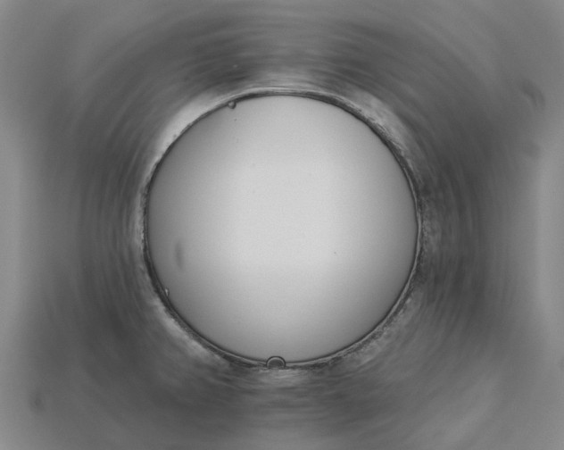 X0000115231382200911131635
