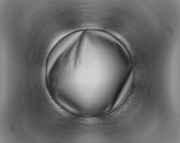 X0000115231383200911131635