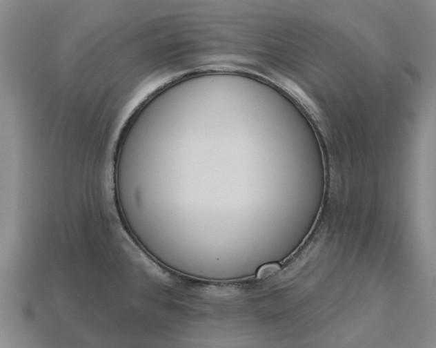 X0000115231384200911131635