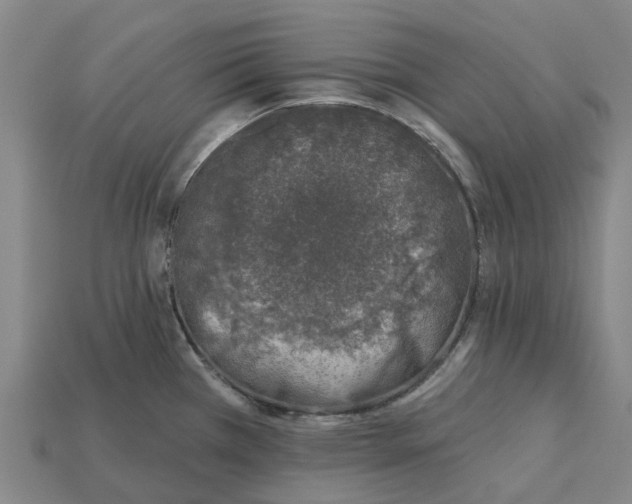 X0000115231385200911131635
