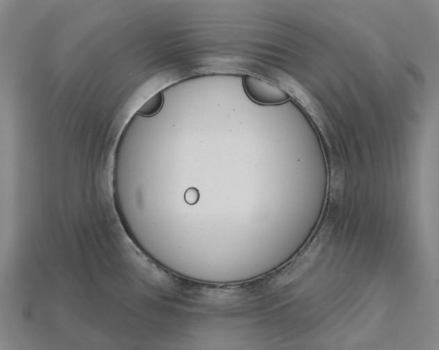 X0000115231386200911131635