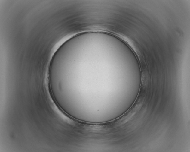X0000115231387200911131635