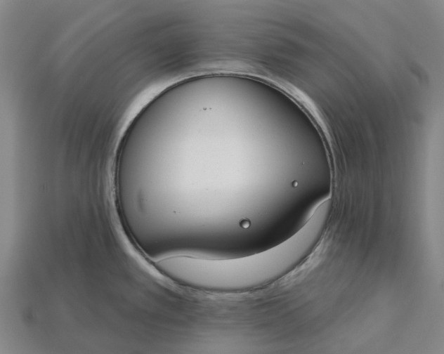 X0000115231389200911131635