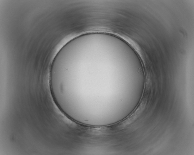 X0000115231390200911131635