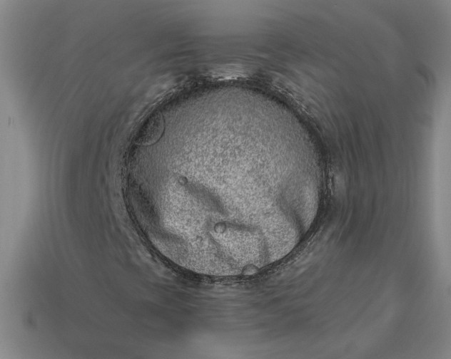 X0000115231393200911131634
