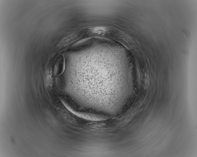 X0000115231394200911131634