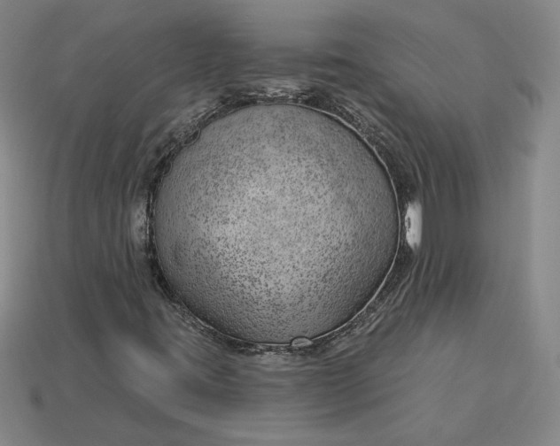 X0000115231395200911131634