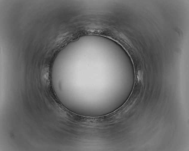 X0000115231396200911131634