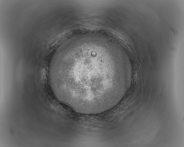 X0000115231397200911131634