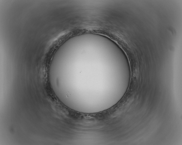 X0000115231398200911131634