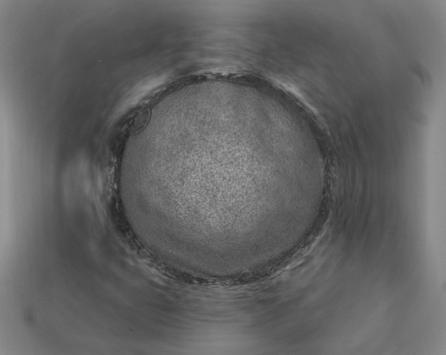 X0000115231399200911131634