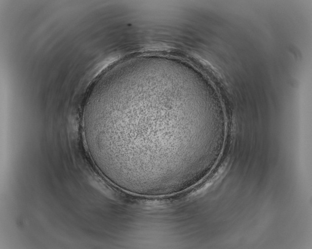 X0000115231401200911131634