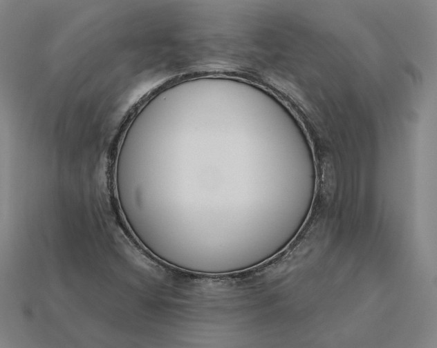 X0000115231404200911131634