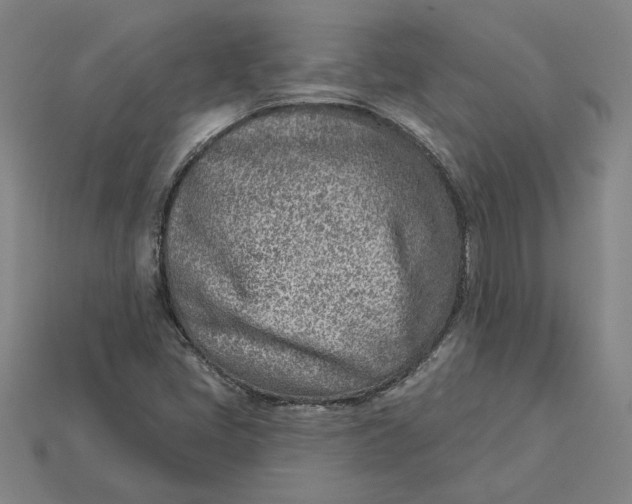 X0000115231405200911131634