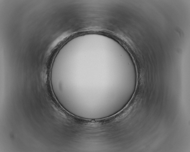 X0000115231406200911131634
