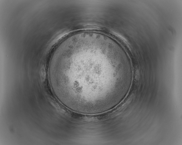 X0000115231407200911131634