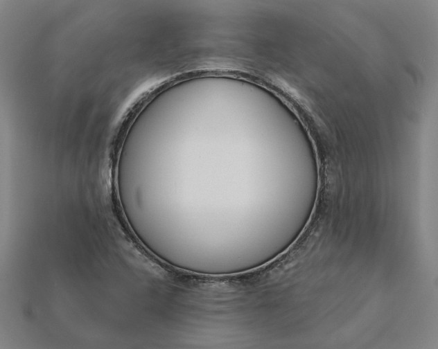 X0000115231408200911131634