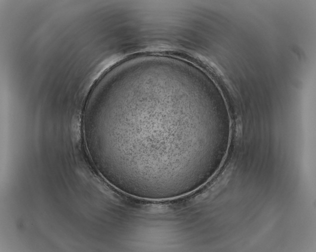 X0000115231409200911131634