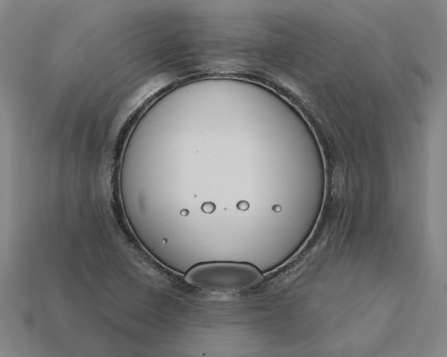 X0000115231410200911131634