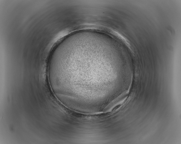 X0000115231411200911131634