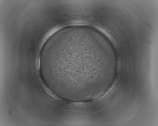 X0000115231413200911131634