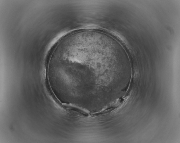 X0000115231414200911131634