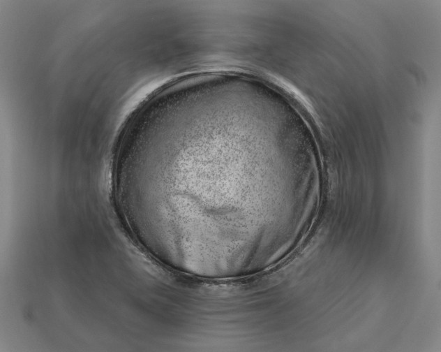 X0000115231415200911131634