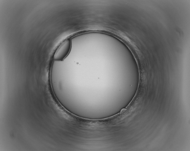X0000115231416200911131634