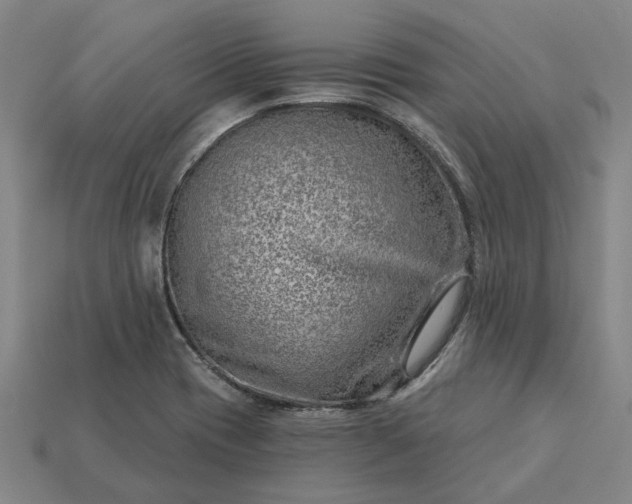 X0000115231417200911131634