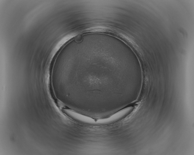 X0000115231418200911131634